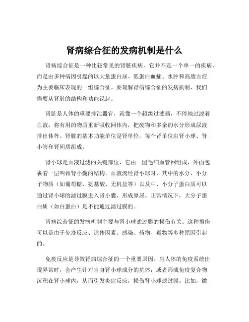 肾病综合征的发病机制是什么