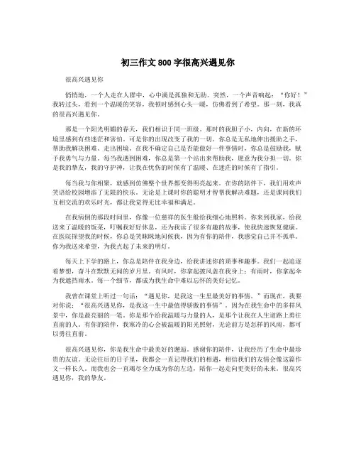 初三作文800字很高兴遇见你