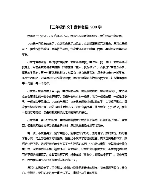 【三年级作文】我和老猫_900字