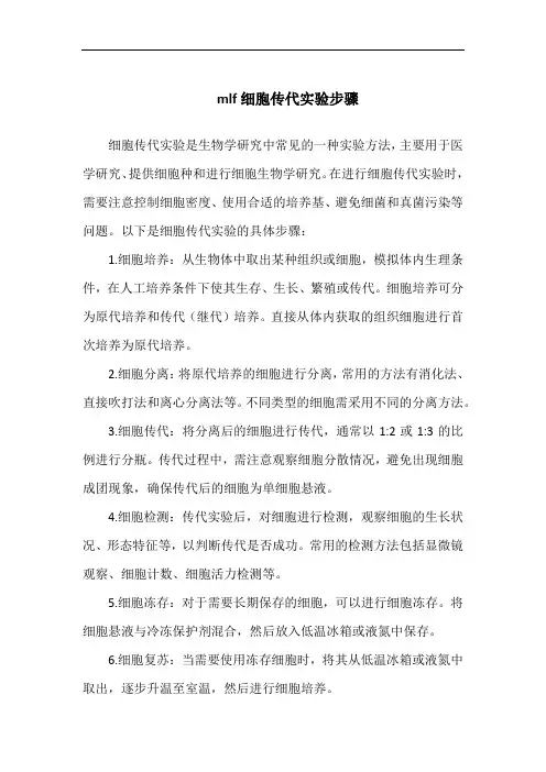 mlf细胞传代实验步骤