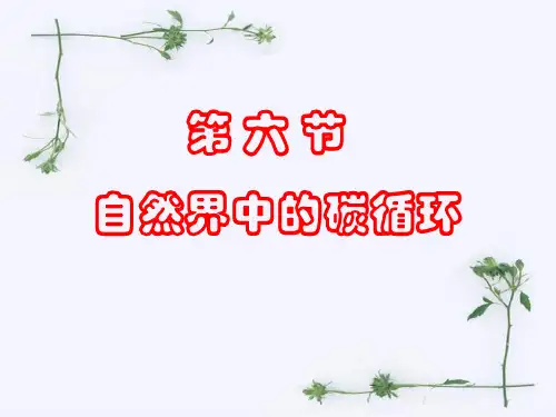 八年级科学 《自然界中氧和碳的循环》ppt课件