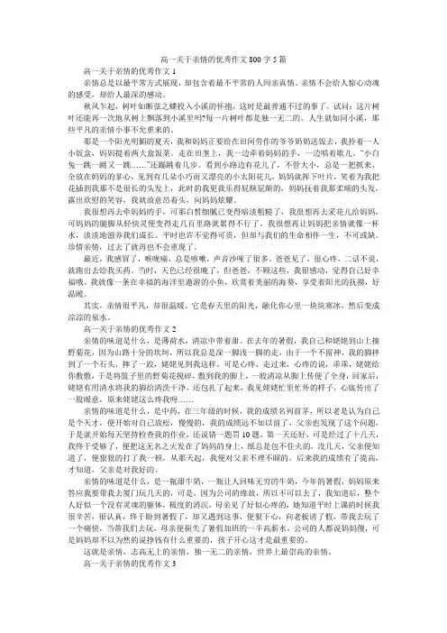 高一关于亲情的优秀作文800字5篇