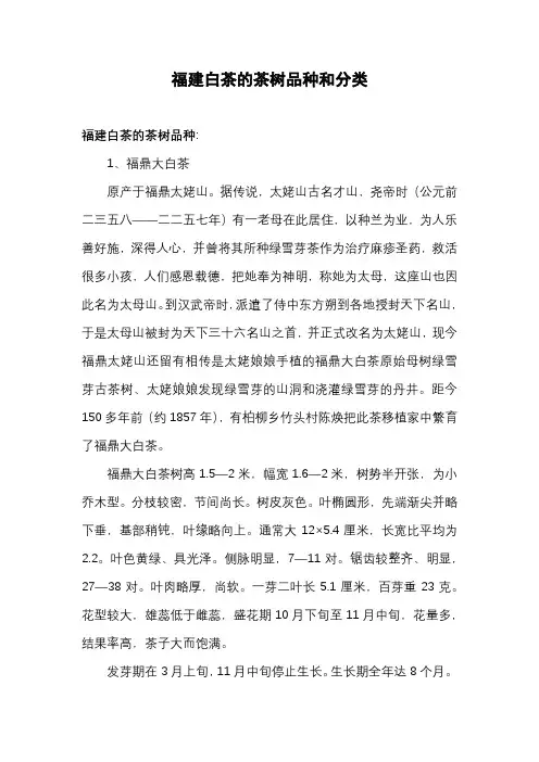 福建白茶的茶树品种和分类
