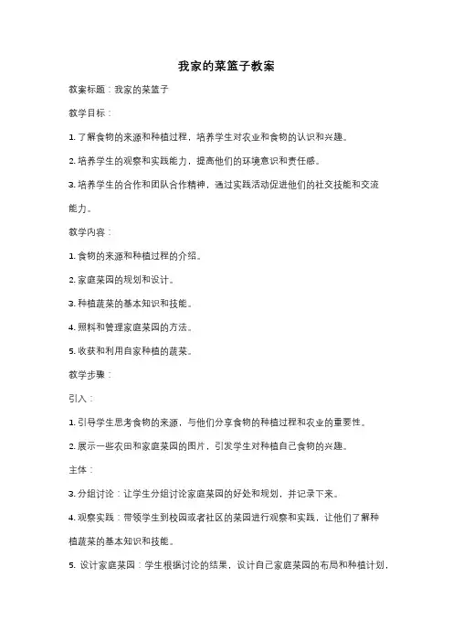 我家的菜篮子教案