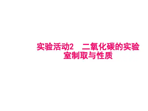 九年级人教版化学上册课件：实验活动2 二氧化碳的实验室制取与性质(共15张PPT)