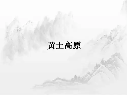 高考地理总复习课件——黄土高原
