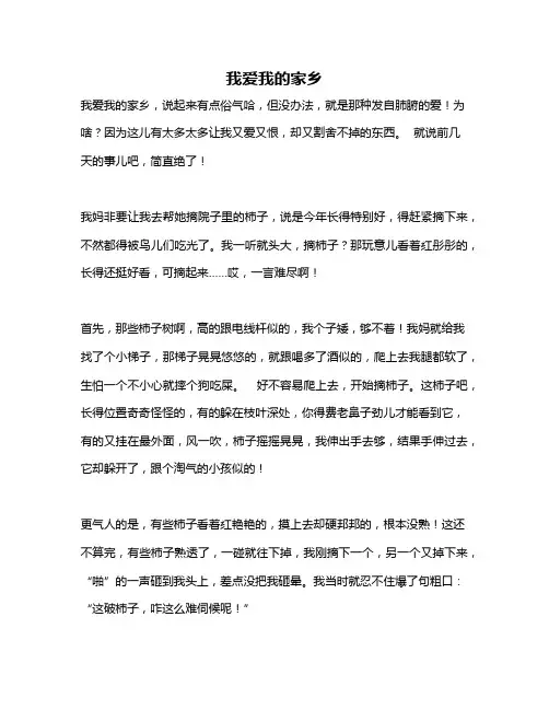 作文《我爱我的家乡》