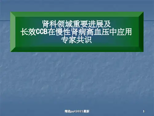 CCB在肾性高血压的专家共识 