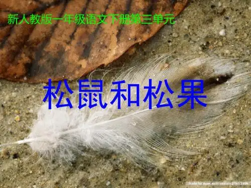 语文人教一年级下册新人教版一年级语文下册第三单元《松鼠和松果》ppt