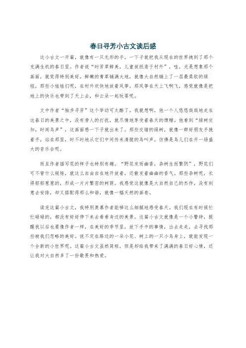 春日寻芳小古文读后感