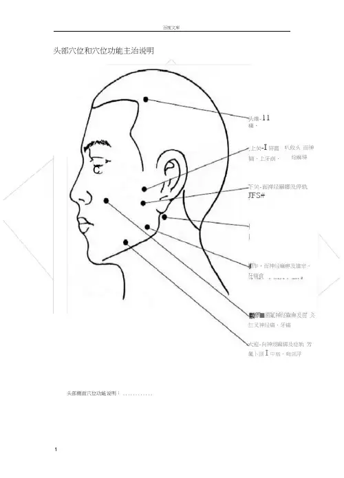 头部穴位和穴位功能主治说明