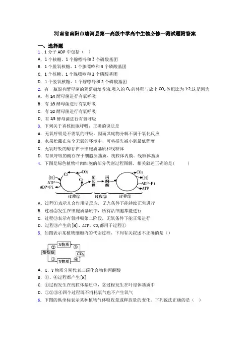河南省南阳市唐河县第一高级中学高中生物必修一测试题附答案