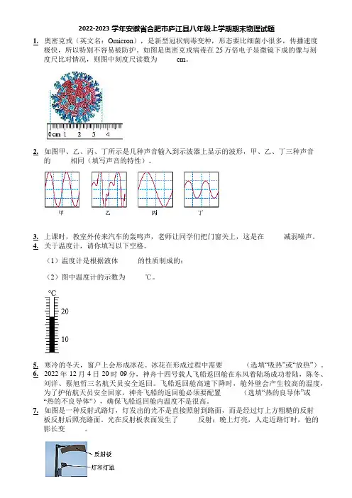 2022-2023学年安徽省合肥市庐江县八年级上学期期末物理试题