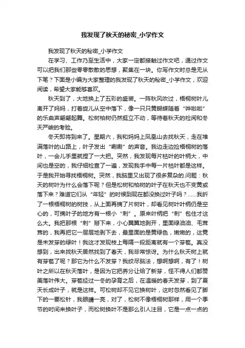 我发现了秋天的秘密_小学作文