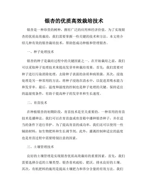 银杏的优质高效栽培技术