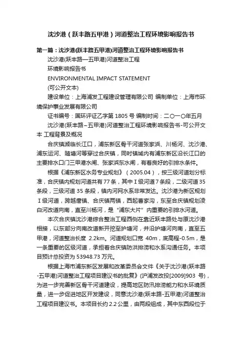沈沙港（跃丰路五甲港）河道整治工程环境影响报告书
