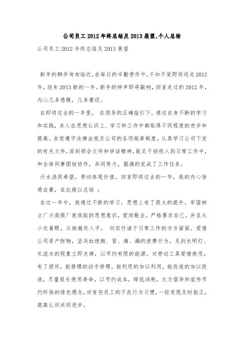 公司员工2012年终总结及2013展望,个人总结