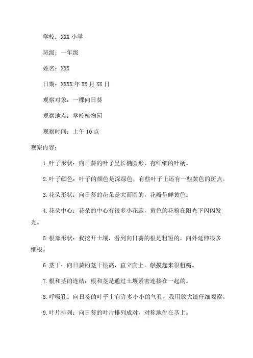 一年级科学植物观察记录单