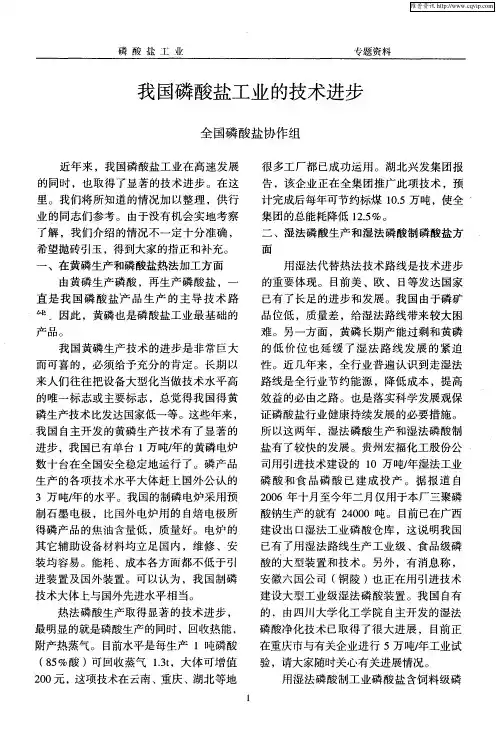 我国磷酸盐工业的技术进步