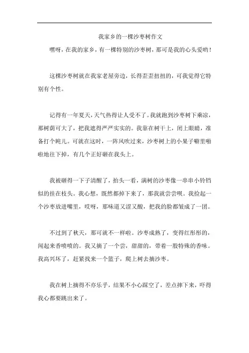 我家乡的一棵沙枣树作文