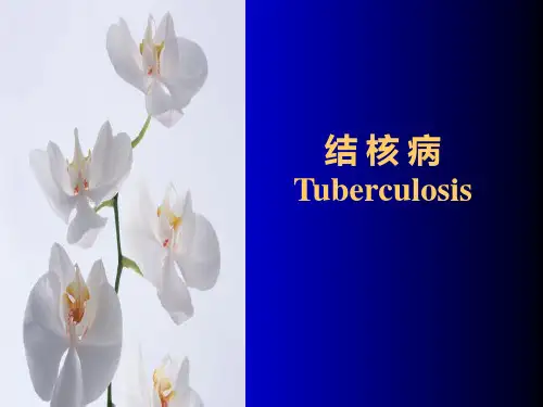 【病理学】结核PPT