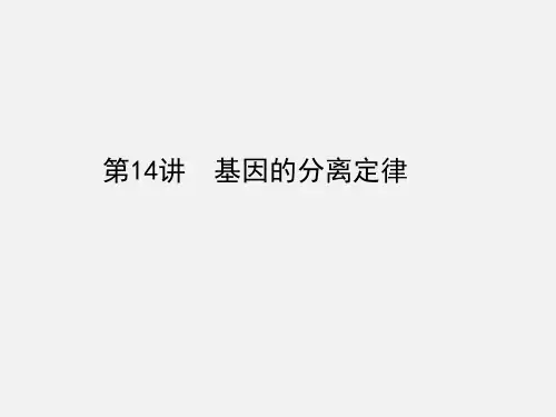 高考生物 一轮复习 孟德尔定律和伴性遗传 第14讲 基因的分离定律