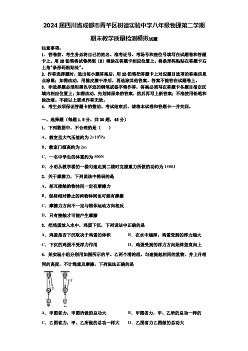 2024届四川省成都市青羊区树德实验中学八年级物理第二学期期末教学质量检测模拟试题含解析