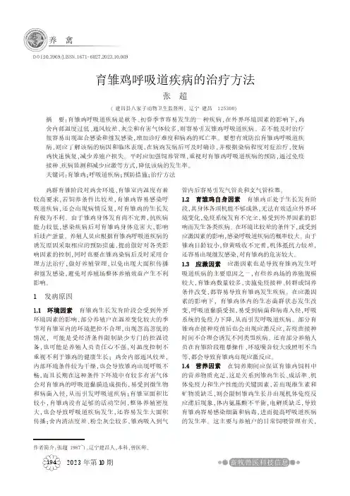 育雏鸡呼吸道疾病的治疗方法