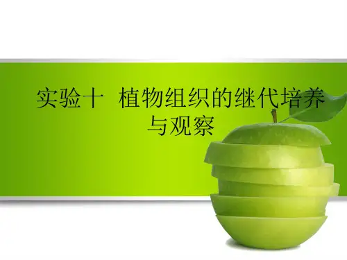 实验十  植物组织的继代培养与观察