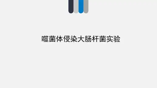 噬菌体侵染大肠杆菌实验-经典教学设计