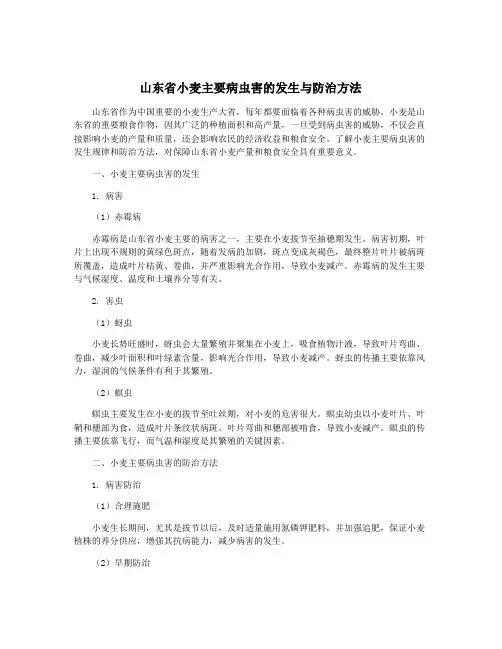 山东省小麦主要病虫害的发生与防治方法