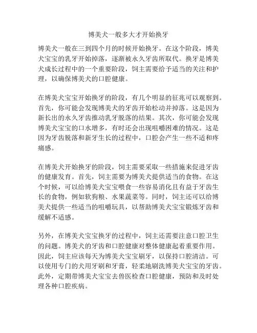 博美犬一般多大才开始换牙