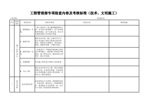 项目专项检查内容及考核标准模板