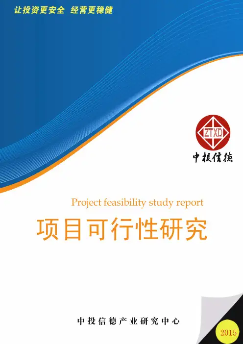 硅藻土综合开发利用项目可行性研究报告
