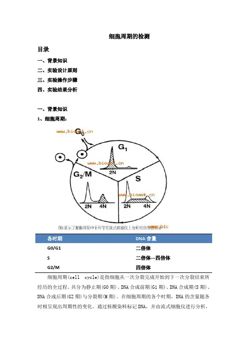 流式细胞术的应用-周期检测
