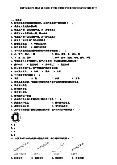 安徽省淮北市2019年七年级上学期生物期末质量跟踪监视试题(模拟卷四)