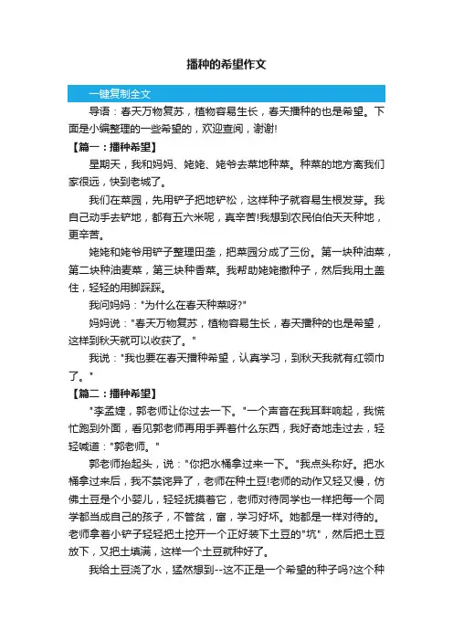 播种的希望作文