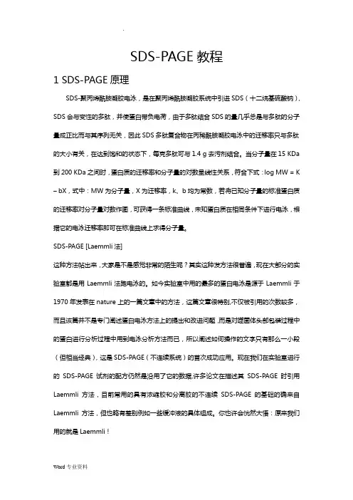 SDS-PAGE操作方法要点