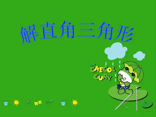 《解直角三角形》PPT课件 (公开课获奖)2022年青岛版 (1)
