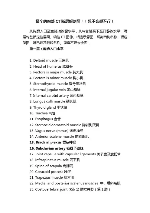 最全的胸部CT断层解剖图！！想不会都不行！