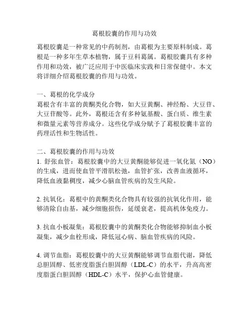 葛根胶囊的作用与功效