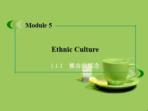 2014-2015英语外研版选修7同步课件：Module 5 Ethnic Culture第2课时