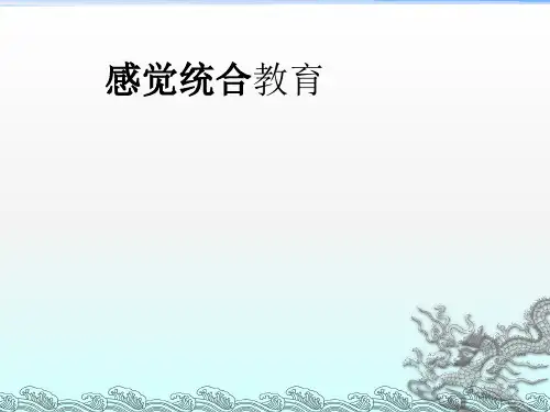 《感统》ppt课件