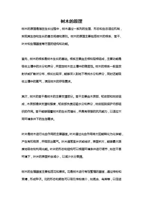 树木的原理