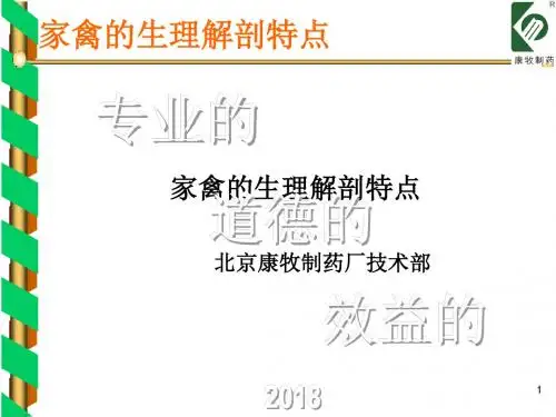 鸡的生理解剖特点医学PPT课件