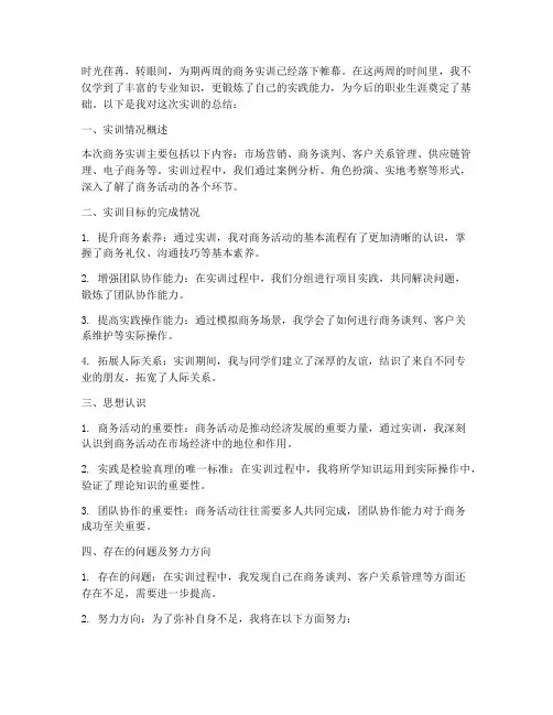 商务实训总结范文