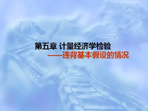 期末精华：计量经济学针对三种误差检验方法