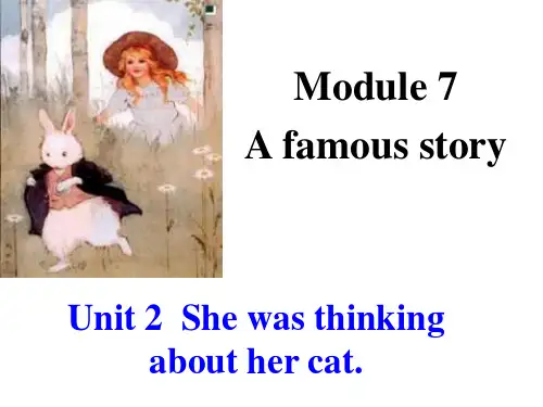 外研版英语八年级上册课件Module7Unit 2  She was thinking about her cat.
