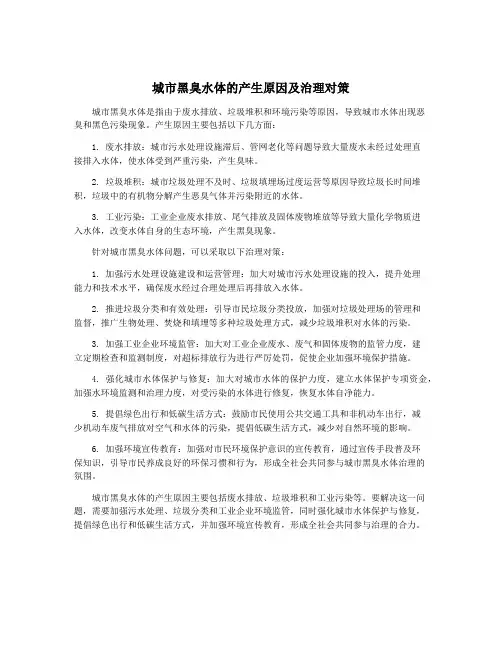 城市黑臭水体的产生原因及治理对策