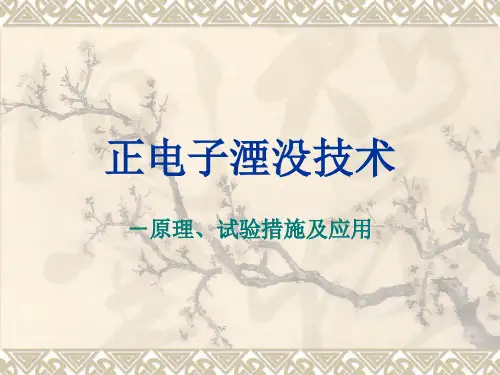 正电子湮没技术